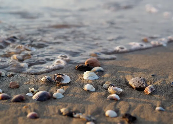 Luminous Flat 80m From The - Beahost Apartment Bibione